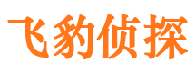 林西市侦探公司